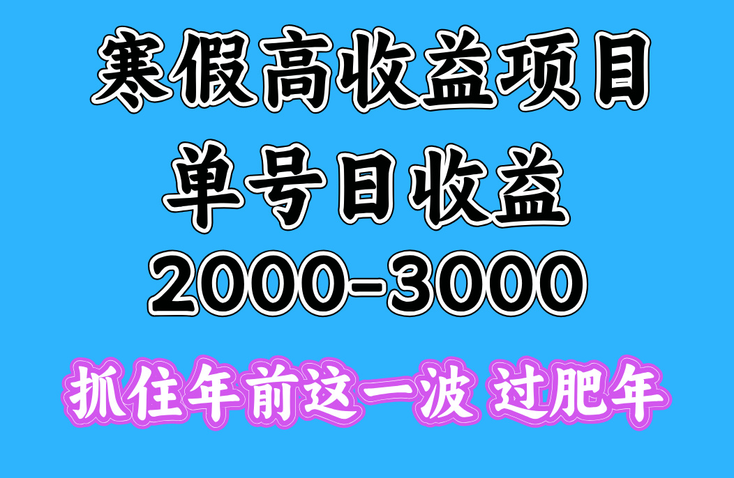 寒假期间一天收益2000-3000+，抓住年前这一波