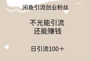 闲鱼精准引流创业粉丝，日引流100＋，引流过程还能赚钱