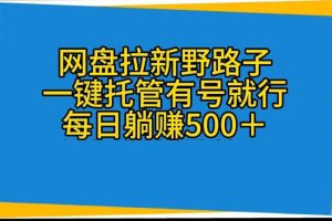 网盘拉新野路子，一键托管有号就行，全自动代发视频，每日躺赚500＋