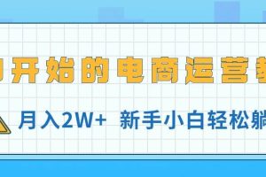 从0开始的电商运营教学，月入2W+，新手小白轻松躺赚