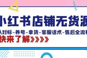 小红书店铺无货源：从对标-养号-拿货-客服话术-售后全流程（20节课）