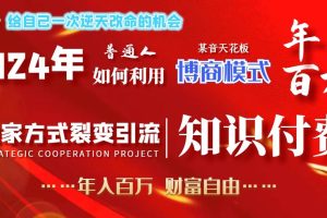 2024年普通人如何利用博商模式做翻身项目年入百万，财富自由