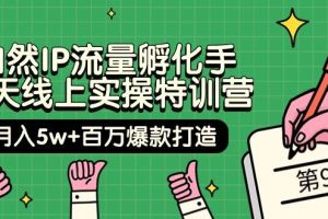 自然IP流量孵化手 14天线上实操特训营【第9期】月入5w+百万爆款打造 (74节)