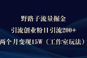 野路子流量掘金，引流创业粉日引流200+，两个月变现15W（工作室玩法））