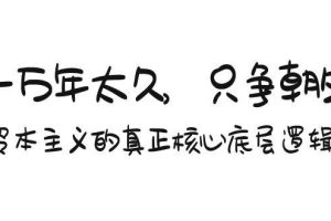 某付费文章《一万年太久，只争朝夕：资本主义的真正核心底层逻辑》