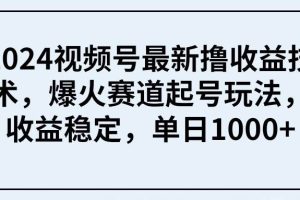 2024视频号最新撸收益技术，爆火赛道起号玩法，收益稳定，单日1000+