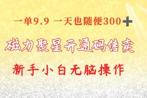 快手磁力聚星码信息差 售卖  一单卖9.9  一天也轻松300+ 新手小白无脑操作