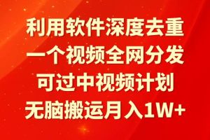 利用软件深度去重，一个视频全网分发，可过中视频计划，无脑搬运月入1W+