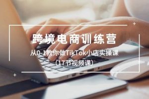 跨境电商训练营：从0-1教你做TikTok小店实操课（17节视频课）