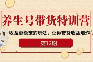 养生号带货特训营【12期】收益更稳定的玩法，让你带货收益爆炸-9节直播课