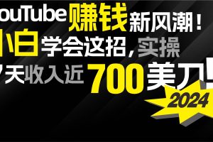 2024 YouTube赚钱新风潮！小白学会这招，7天收入近7百美金！