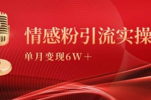 单月变现6w+，情感粉引流变现实操课