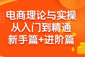 电商理论与实操从入门到精通 新手篇+进阶篇