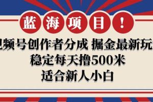 【蓝海项目】视频号创作者分成 掘金最新玩法 稳定每天撸500米 适合新人小白