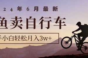 2024年6月最新闲鱼卖自行车，新手小白轻松月入3w+项目