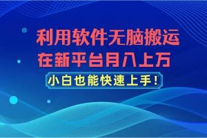 利用软件无脑搬运，在新平台月入上万，小白也能快速上手