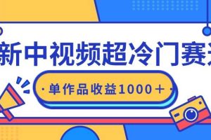 最新中视频超冷门赛道，轻松过原创，单条视频收益1000＋