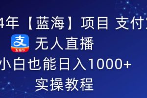 2024年【蓝海】项目 支付宝无人直播 小白也能日入1000+  实操教程