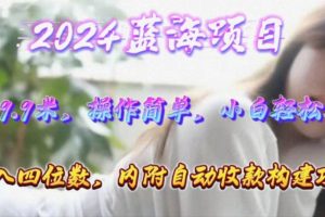 年轻群体的蓝海市场，1单9.9元，操作简单，小白轻松上手，日入四位数