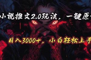 原创漫画小说推文2.0玩法，单日最高3000+，ai全自动产出，可参加中视频…