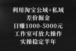 利用淘宝公域+私域差价掘金，日赚1000-5000元，工作室可放大操作，实操…