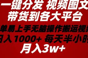 2024年 一键分发带货图文视频  简单易上手 无脑赚收益 每天半小时日入1…