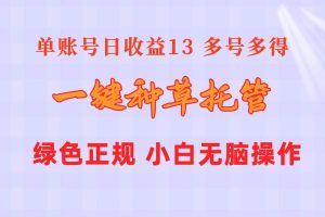 一键种草托管 单账号日收益13元  10个账号一天130  绿色稳定 可无限推广