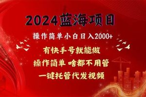 2024蓝海项目，网盘拉新，操作简单小白日入2000+，一键托管代发视频，…