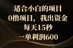 适合小白的项目，0撸项目，我出资金，每天15秒，一单利润600