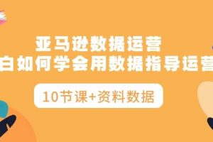 亚马逊数据运营，小白如何学会用数据指导运营（10节课+资料数据）