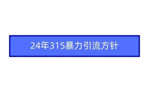 2024年315暴力引流方针