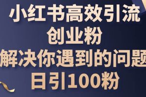 小红书高效引流创业粉，解决你遇到的问题，日引100粉