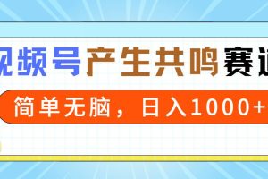 2024年视频号，产生共鸣赛道，简单无脑，一分钟一条视频，日入1000+