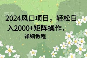 2024风口项目，轻松日入2000+矩阵操作，详细教程