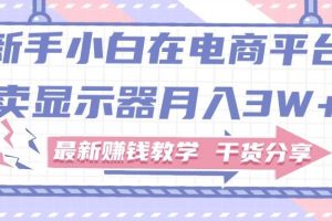 新手小白如何做到在电商平台卖显示器月入3W+，最新赚钱教学干货分享