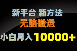 新平台新方法，无脑搬运，月赚10000+，小白轻松上手不动脑