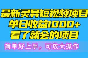 最新灵异短视频项目，单日收益1000+看了就会的项目，简单好上手可放大操作