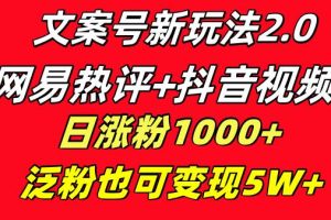 文案号新玩法 网易热评+抖音文案 一天涨粉1000+ 多种变现模式 泛粉也可变现