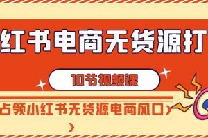 小红书电商-无货源打卡，抢先占领小红书无货源电商风口（10节课）