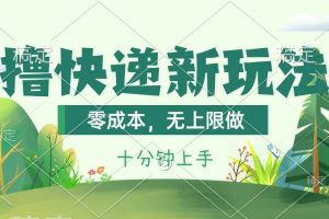 撸快递最新玩法，零成本，无上限做，日产1000+。课程看完就会