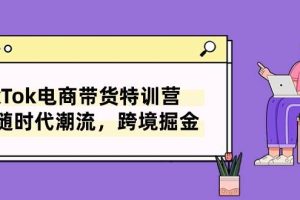 TikTok电商带货特训营，跟随时代潮流，跨境掘金（8节课）