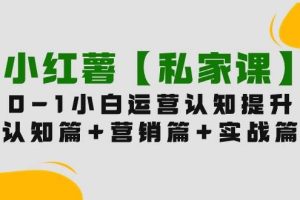 小红薯【私家课】0-1玩赚小红书内容营销，认知篇+营销篇+实战篇（11节课）