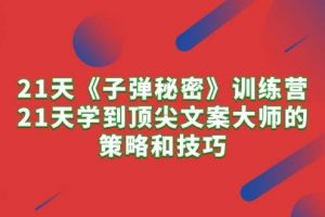 21天《子弹秘密》训练营，21天学到顶尖文案大师的策略和技巧