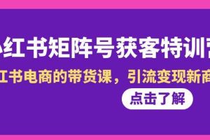 小红书-矩阵号获客特训营-第10期，小红书电商的带货课，引流变现新商机