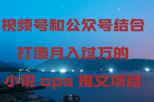 视频号和公众号结合打造月入过万的小说cps推文项目