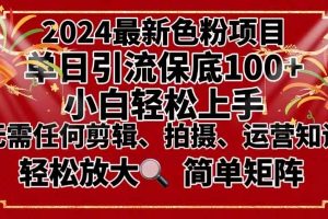 2024最新换脸项目，小白轻松上手，单号单月变现3W＋，可批量矩阵操作放大