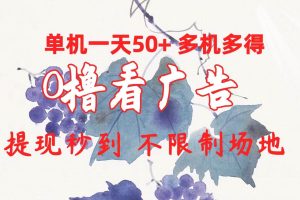 0撸看广告 单机一天50+多机多得 提现秒到 不限制场地操作