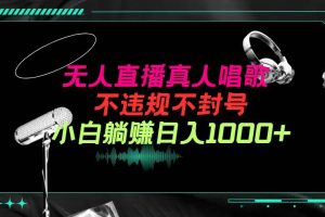 抖音24小时无人直播音乐，不违规，不封号纯撸音浪，小白实操当天日入1000+