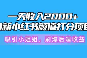 一天收入2000+，最新小红书颜值打分项目，吸引小姐姐，刷爆后端收益