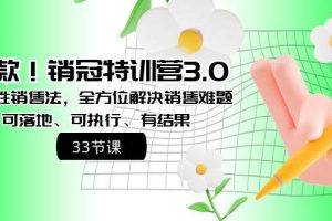 爆款！销冠特训营3.0之顺人性销售法，全方位解决销售难题、可落地、可执行、有结果